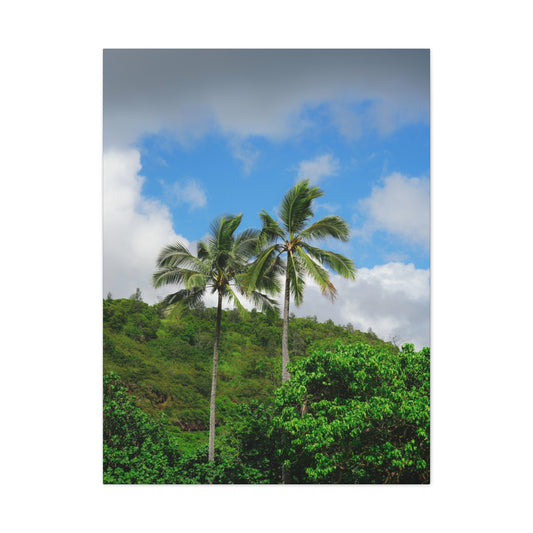 Hawaiian Palms Canvas