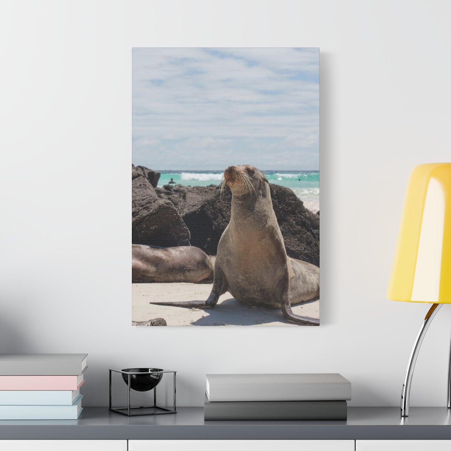 Seaside Seals Canvas